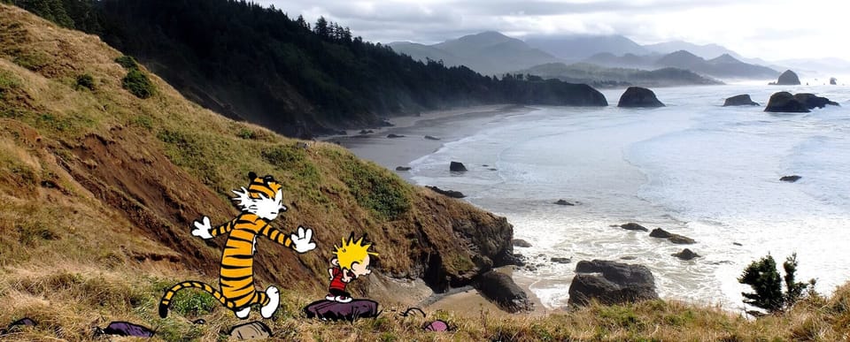 Calvin et Hobbes, une BD humaniste